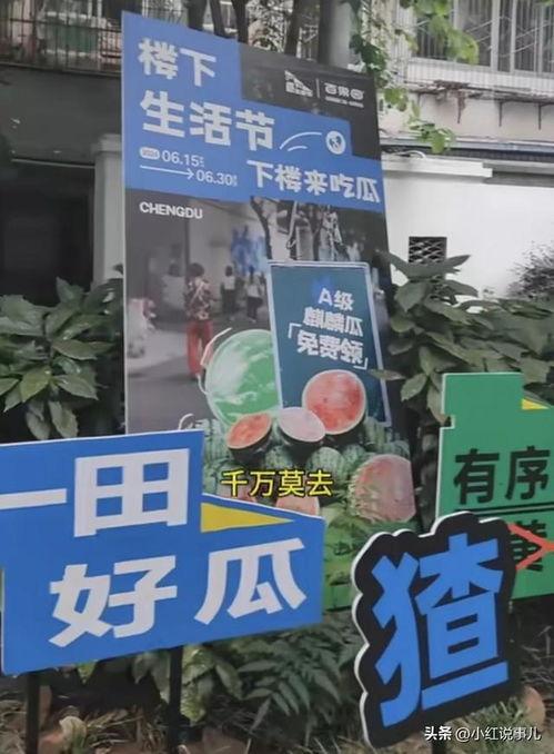 吃瓜网红打卡地 第1张 吃瓜网红打卡地 第1张